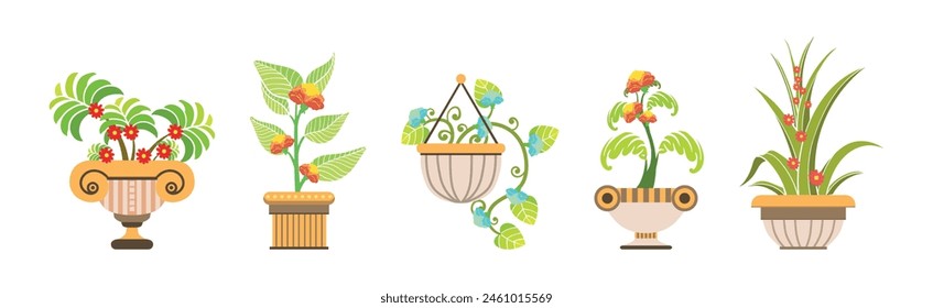 Flower and Houseplant Growing in Pot Vector Set