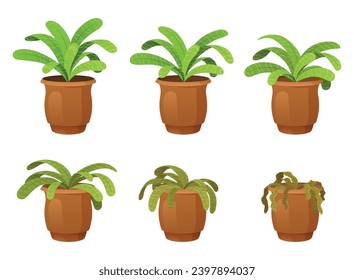 Flower houseplant withering phases vector flat illustration. Potted flower life cycle from blossomed to dry sick leaf and dead. Floral dying process. Abandoned botanical plant bad care sequence