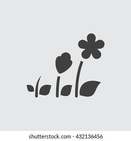 Flower Icon