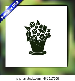 Flower icon