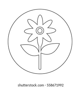 Flower icon