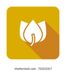 flower icon