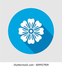 Flower icon. Chamomile, aster, daisy, chrysanthemum. Summer, autumn floral symbol. Round flat icon with long shadow. Vector isolated.