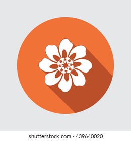 Flower icon. Chamomile, aster, daisy, chrysanthemum sign. Summer, autumn floral symbol. Round flat button with long shadow. Vector isolated.