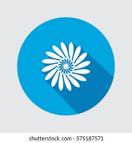 Flower icon. Chamomile, aster, daisy, chrysanthemum sign. Summer, autumn, spring floral symbol. Round flat button with long shadow. Vector isolated.