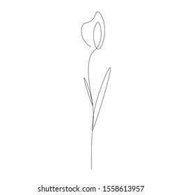 Flower icon continuous line drawing, vector illustration