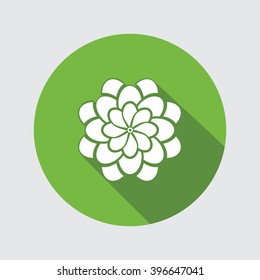 Flower icon. Dahlia, aster, daisy, chrysanthemum, gowan. Summer, autumn floral symbol. Round flat icon with long shadow. Vector isolated.