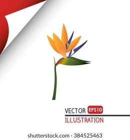 flower icon design 