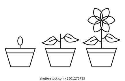 flower icon design from seed to bloom with line art style on white background