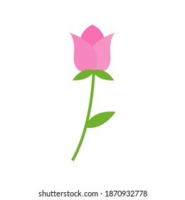 Plantilla de diseño de icono de flor vector ilustración aislada