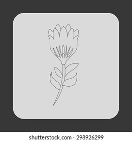 flower icon design, vector illustration eps10 graphic 
