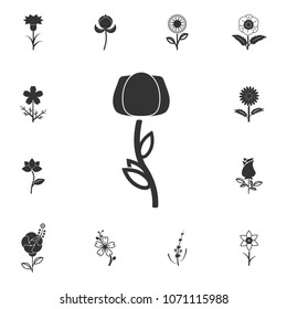 Flower icon. Detailed set of Flower illustrations. Premium quality graphic design icon. One of the collection icons for websites, web design, mobile app on white background