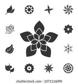 Flower icon. Detailed set of Flower illustrations. Premium quality graphic design icon. One of the collection icons for websites, web design, mobile app on white background