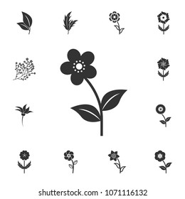 Flower icon. Detailed set of Flower illustrations. Premium quality graphic design icon. One of the collection icons for websites, web design, mobile app on white background