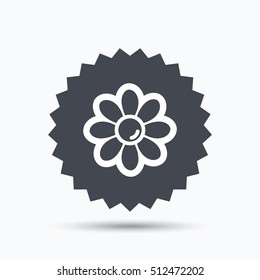 Flower icon. Florist plant with petals symbol. Gray star button with flat web icon. Vector