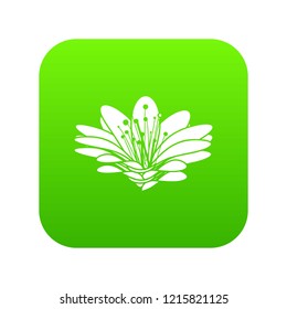 Flower icon green vector isolated on white background