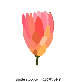 Icono de flores. Flor rosa dibujada a mano aislada en fondo blanco. Caricatura Proteus. Planta delgada de estilo plano. Un símbolo bonito del verano, la primavera, las mujeres, las niñas, las madres, el día de la madre. Ilustración del vector