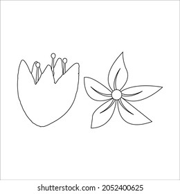 flower icon illustation bundling line