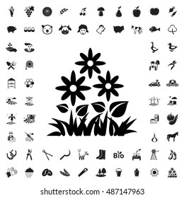 Flower icon illustration isolated vector sign symbol
