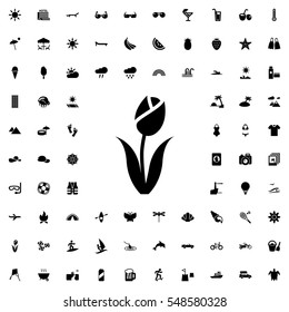 flower icon illustration isolated vector sign symbol