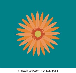 Flower icon. Illustration. Nature. Isolated flower. Blossom.