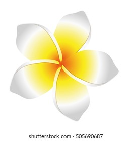 flower icon image 