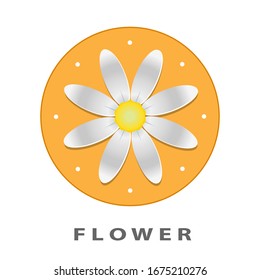 Flower icon isolated on a white background. Chamomile symbol for the design of your website, logo, application, user interface. Health concept.