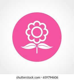 flower Icon Isolated on White Background