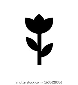 Flower icon, logo isolated on white background