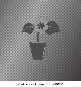 Flower  icon on gray background vector illustration.