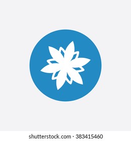 flower icon, on white background