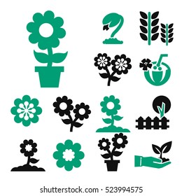 flower icon set