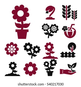 flower icon set