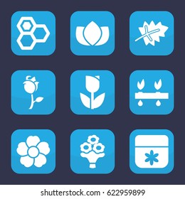Flower icon. set of 9 filled flower icons such as leaf, honey, lotus, rose, plant