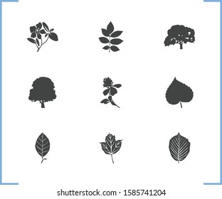 Flower icon set and clover flower with beech, decoration and linden leaf. Lush related flower icon vector for web UI logo design.