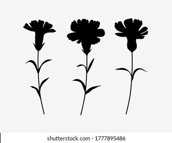 Carnation Silhouette Images, Stock Photos & Vectors | Shutterstock