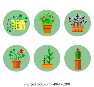 Flower icon set. Different flowers in pots - vector illustration. Flowers in flat style.