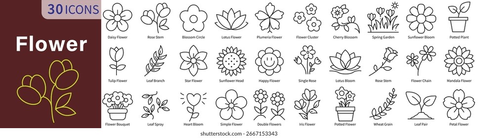 Ícone de flor definido em estilo de linha com vetor editável para design floral, natureza, jardim e botânico