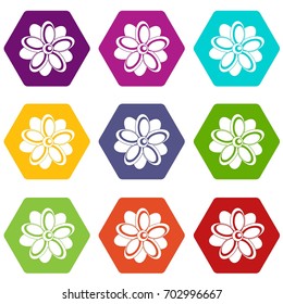 Flower icon set many color hexahedron isolated on white vector illustration