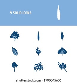 Flower icon set and orchid with tiger lily, poplar leaf and cypress. Cypress related flower icon vector for web UI logo design.