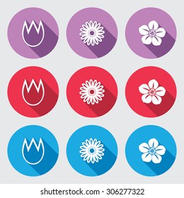 Flower icon set. Tulip, camomile, daisy, orchid. Floral symbol. White sign on round blue, red, lilac flat buttons with long shadow on light gray background. Vector isolated.