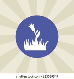 flower icon. sign design. background