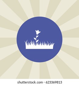 flower icon. sign design. background