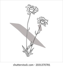A Flower Icon Vector Design
