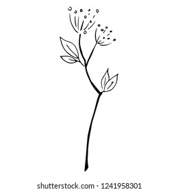 Flower icon. Vector of a flower. Hand drawn flower.