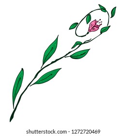 Flower icon. Vector illustration of a flower. Hand drawn flower.