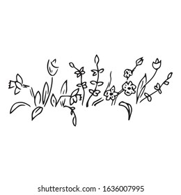 Flower icon. Vector illustration of spring. Hand drawn spring flower.