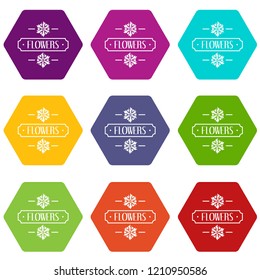 Flower icons 9 set coloful isolated on white for web