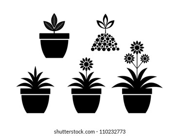 Flower icons on white background