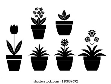 Flower icons on white background